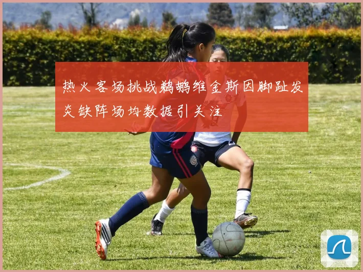 热火客场挑战鹈鹕维金斯因脚趾发炎缺阵场均数据引关注
