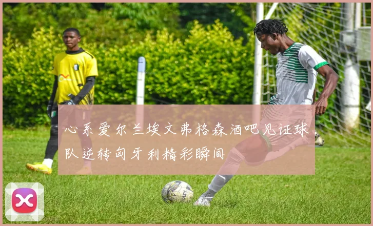 心系爱尔兰埃文弗格森酒吧见证球队逆转匈牙利精彩瞬间